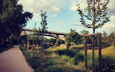 Un “Concorso di progettazione” per il Parco fluviale del Basento