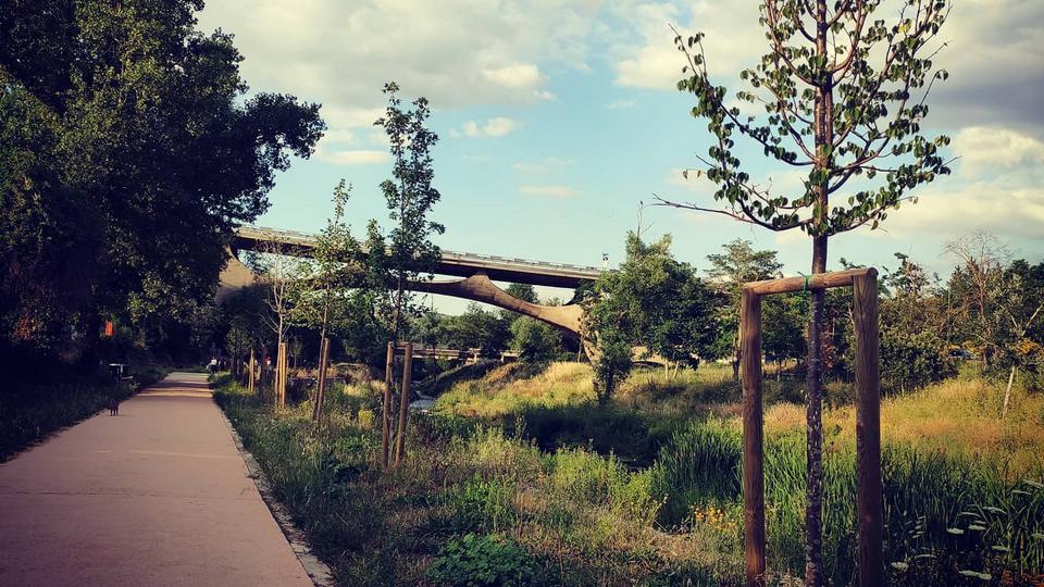 Un “Concorso di progettazione” per il Parco fluviale del Basento